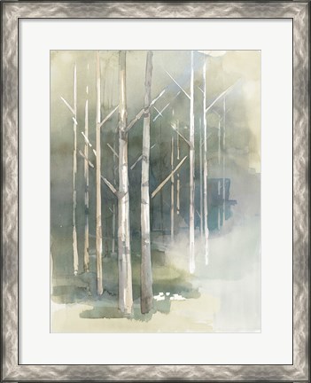 Framed Birch Grove II Print