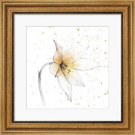 Framed Gilded Graphite Floral VIII Print