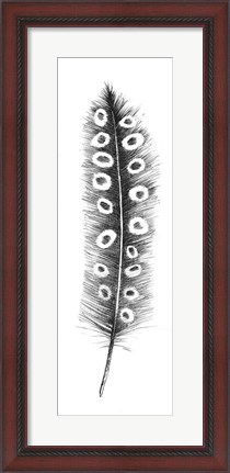 Framed Spirit Feather VIIIa Print