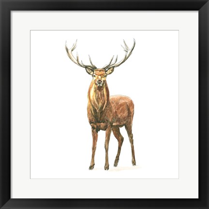 Framed Natural Majesty II Print