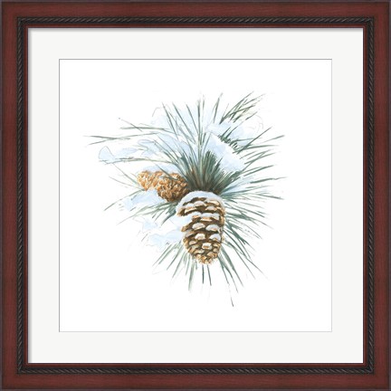 Framed Into the Woods Pinecone II Print