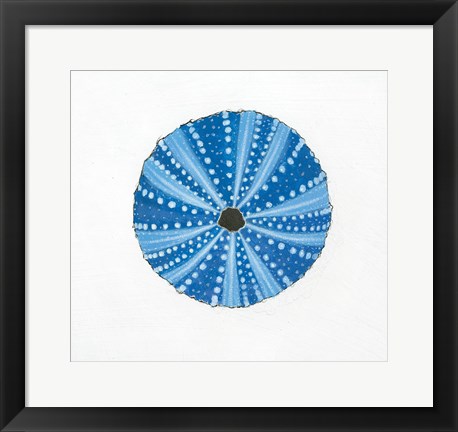 Framed Navy Circular Shell Print
