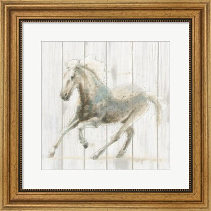 Framed Stallion II on Birch Print