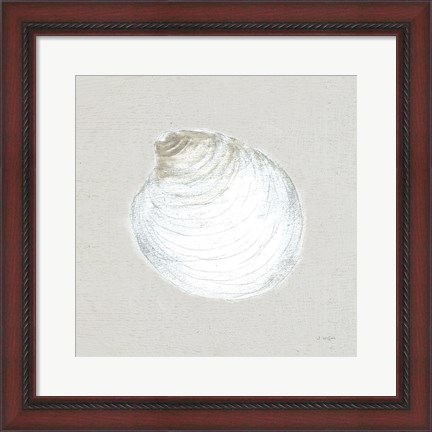 Framed Serene Shells II Tan Print