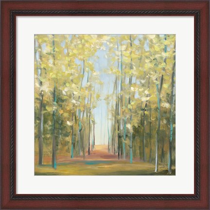 Framed Aspen Grove II Print