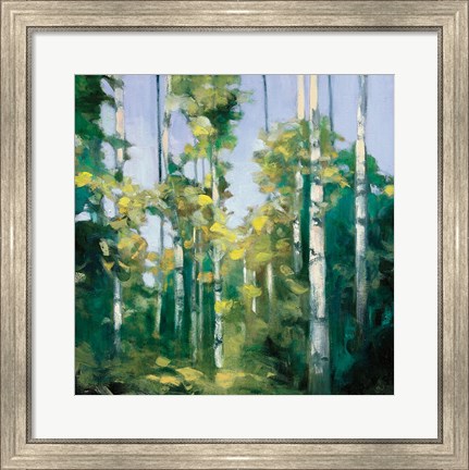 Framed Birches Print