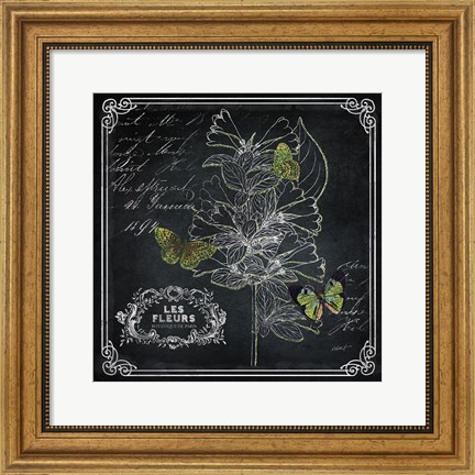Framed Chalkboard Botanical II Print
