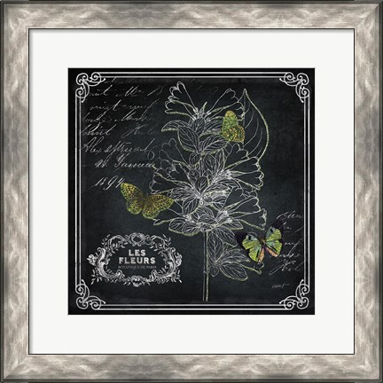 Framed Chalkboard Botanical II Print