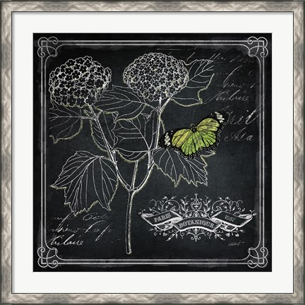 Framed Chalkboard Botanical I Print