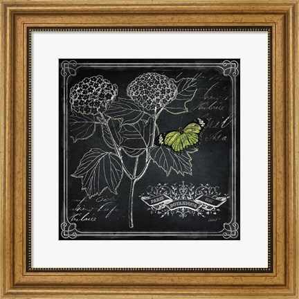Framed Chalkboard Botanical I Print