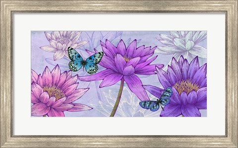 Framed Nympheas and Butterflies Print