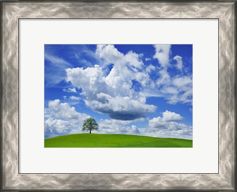 Framed Oak and clouds, Bavaria, Germany Print