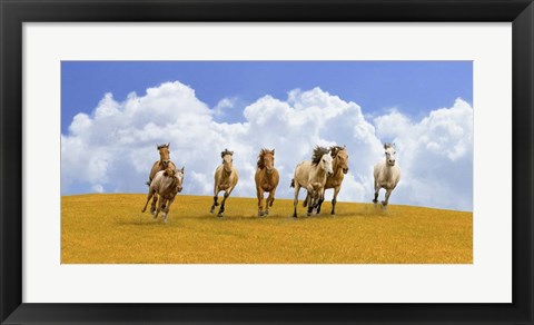 Framed Herd of Wild Horses Print