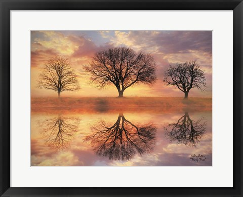 Framed Trio of Trees Print