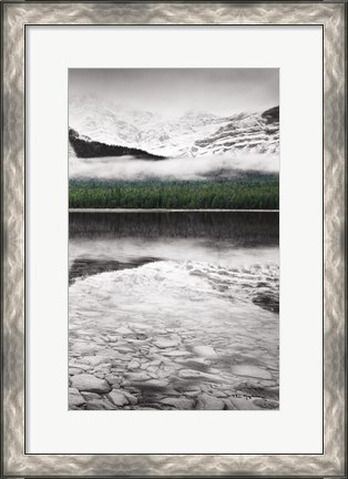 Framed Waterfowl Lake Panel III BW with Color Print