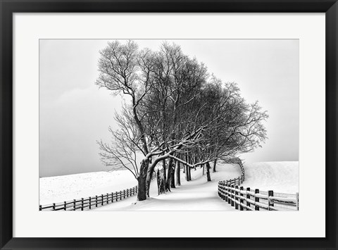 Framed Along the Lane I Print