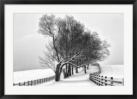 Framed Along the Lane I Print