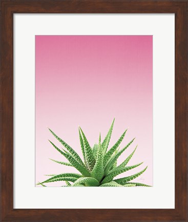 Framed Succulent Simplicity I Pink Ombre Crop Print