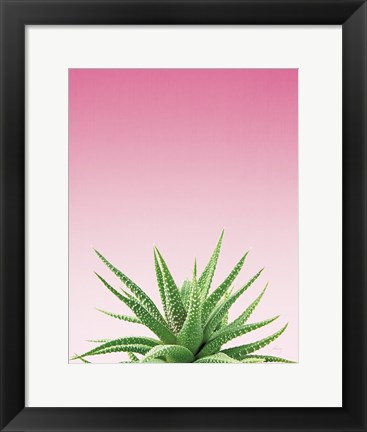 Framed Succulent Simplicity I Pink Ombre Crop Print
