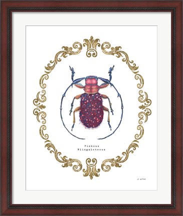 Framed Adorning Coleoptera II Print