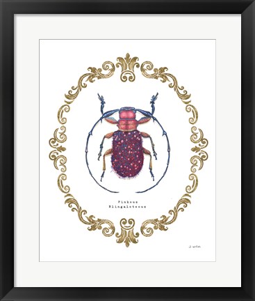 Framed Adorning Coleoptera II Print