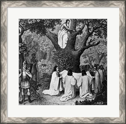 Framed Illustration Of Druid Priests Print
