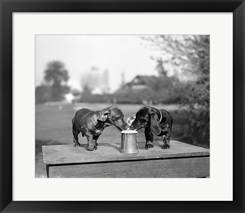 Framed 1890S Two Dachshund Puppies Print