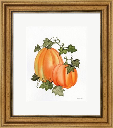 Framed Pumpkin and Vines I Print