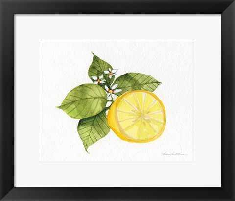 Framed Citrus Garden IX Print