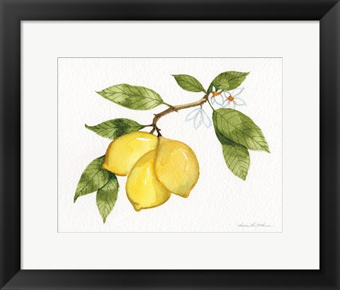 Framed Citrus Garden I Print