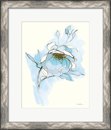 Framed Carols Roses V Blue Print