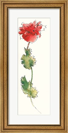 Framed Peony Form Poppies I Print