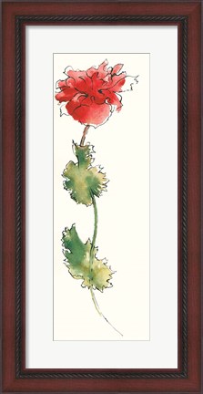 Framed Peony Form Poppies I Print