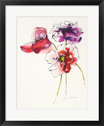 Framed Three Somniferums Poppies Print