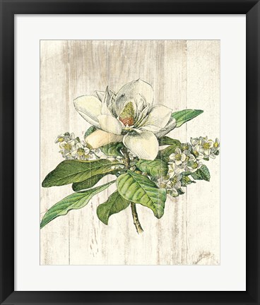 Framed Magnolia de Printemps no Words Print