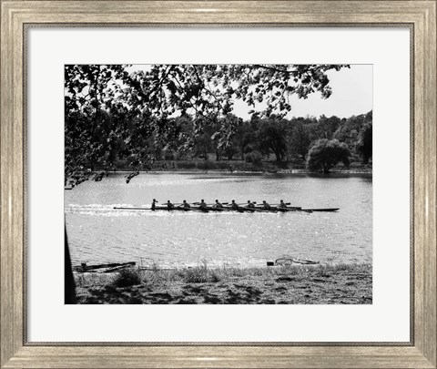 Framed 1930s Silhouette Sculling Boat Race Print