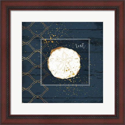 Framed Rest Sanddollar Print