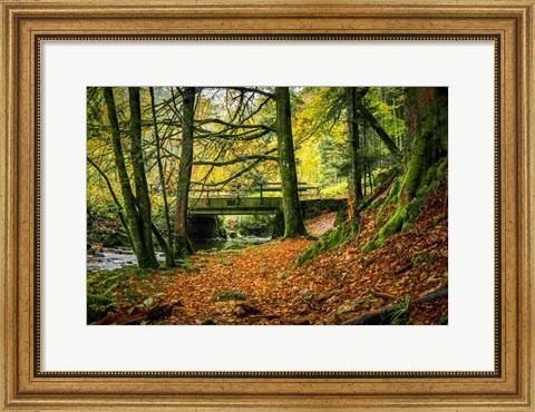 Framed Black Forest River Bridge Print