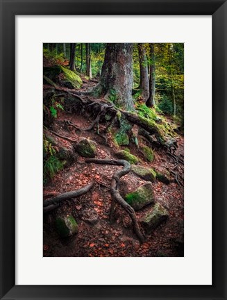 Framed Sentinels Along Our Path Print