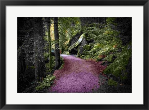 Framed Path to Serenity Print