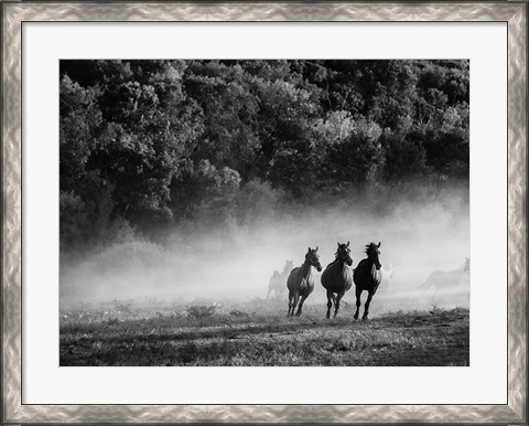 Framed Horse country Print