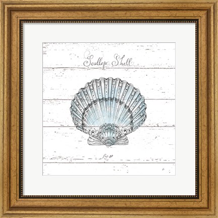Framed Aqua Underwater Life VIII Shiplap Print