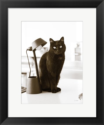 Framed Lights Cat Action Print