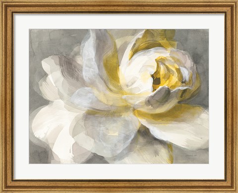 Framed Abstract Rose Print
