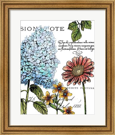 Framed Botanical Postcard Color I Print