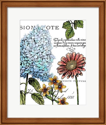 Framed Botanical Postcard Color I Print