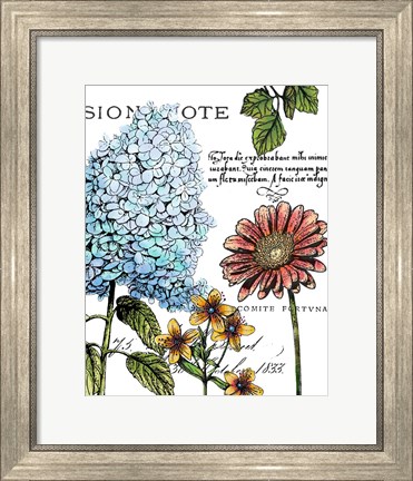 Framed Botanical Postcard Color I Print