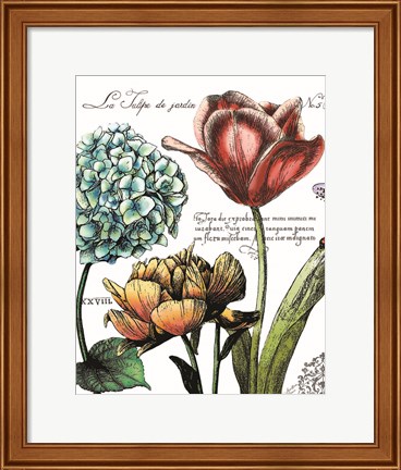Framed Botanical Postcard Color IV Print