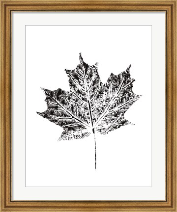 Framed Harvest Sentiments I BW no Words Print