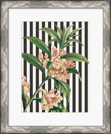 Framed Herbal Botanical XXVI Bold Print